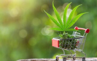 How Much Weed Can You Buy in Mississippi Dispensary, Medical Marijuana Card Online