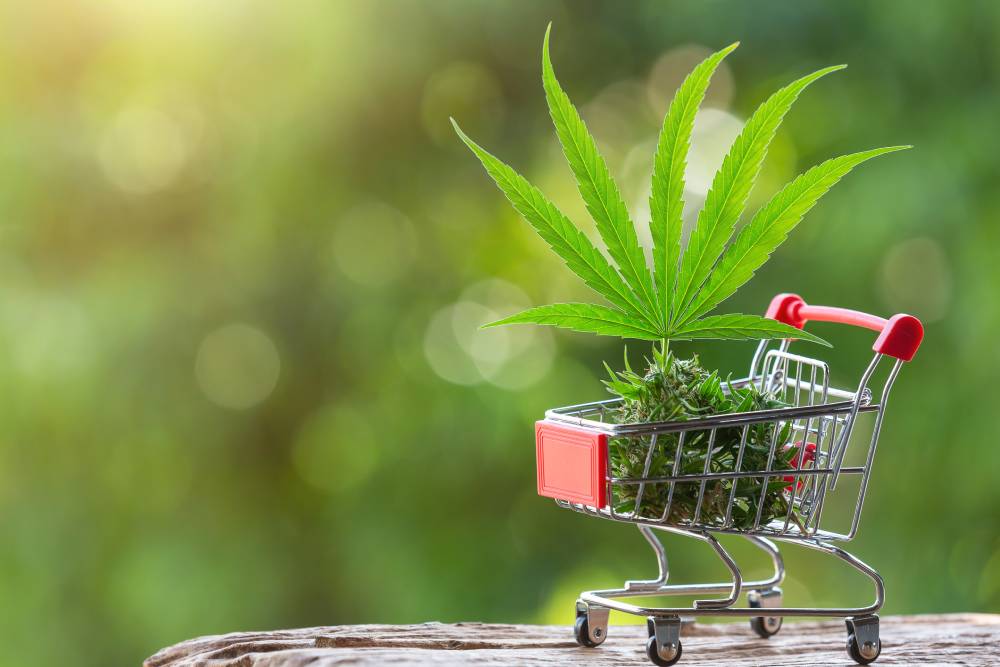 How Much Weed Can You Buy in Mississippi Dispensary, Medical Marijuana Card Online