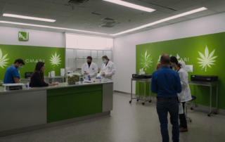 Medical Marijuana in Jackson