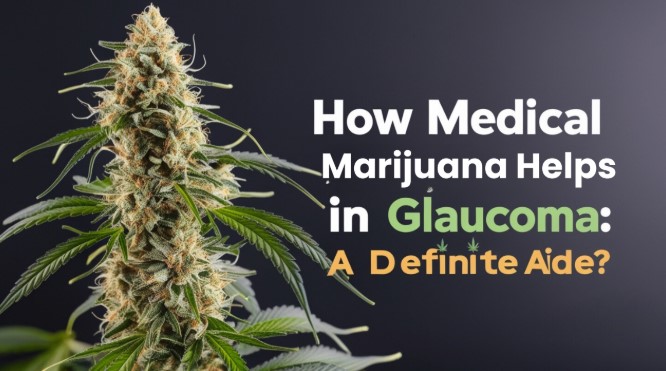 How Medical Marijuana Helps in Glaucoma