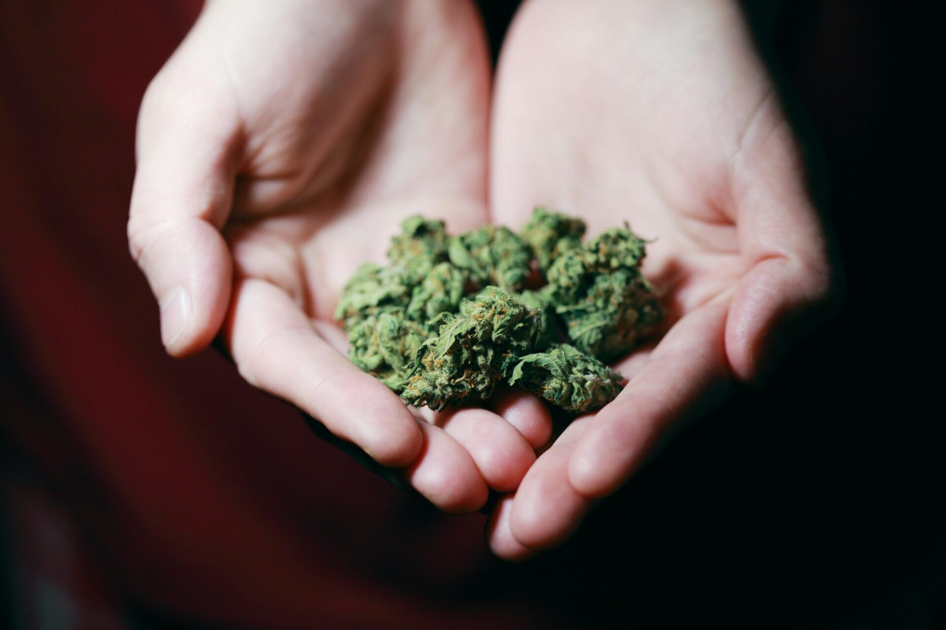 Can a Felon get a Medical Marijuana Card in Mississippi?