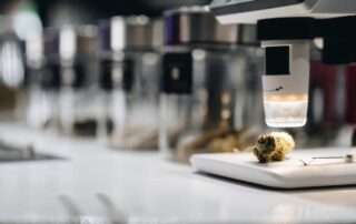 How to Change Medical Marijuana Dosing Safely?, Medical Marijuana