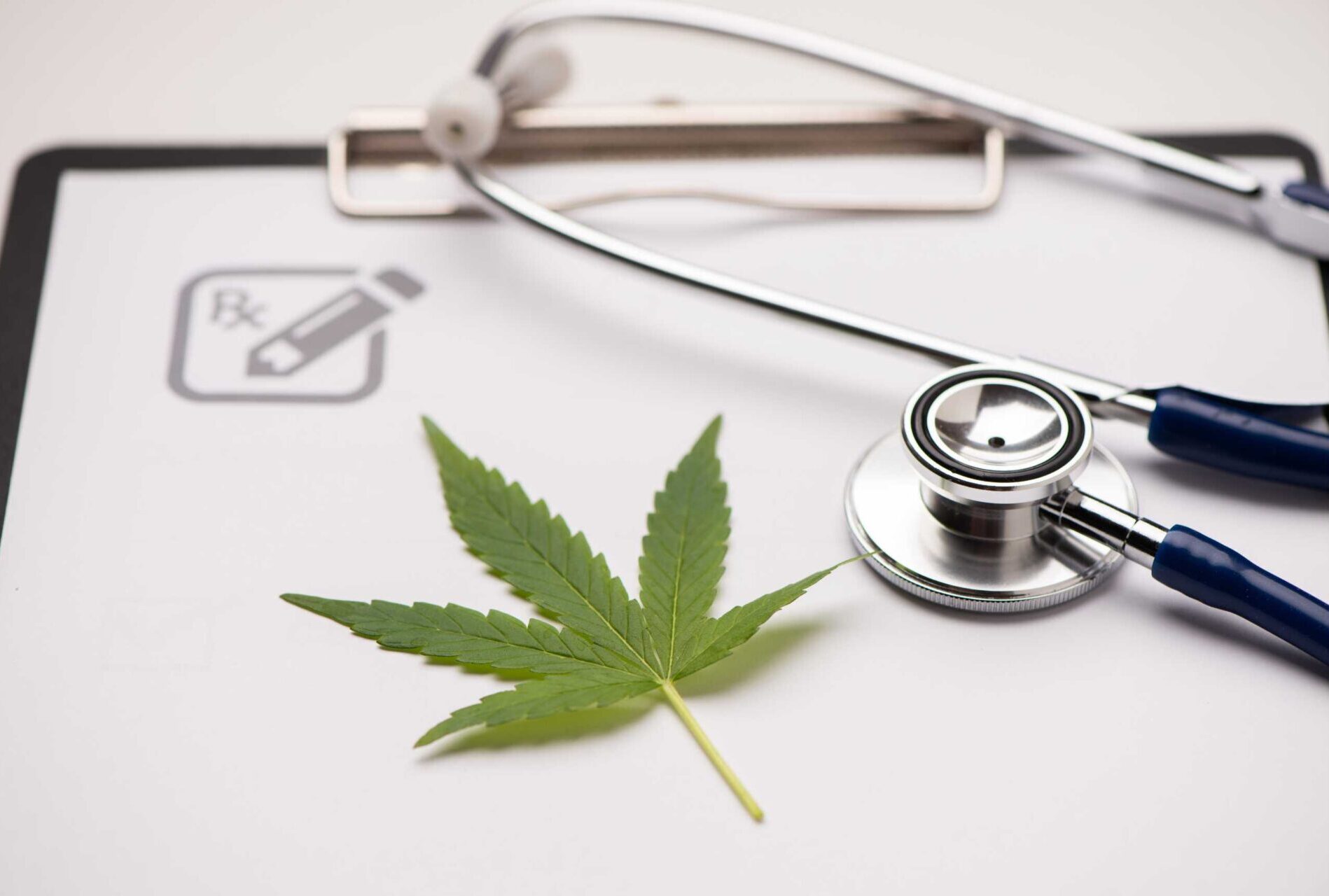 Opioid alternative for pain management, Medical marijuana for opioid resistant pain