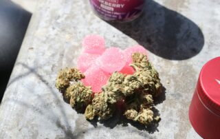 top 10 myths about medical marijuana