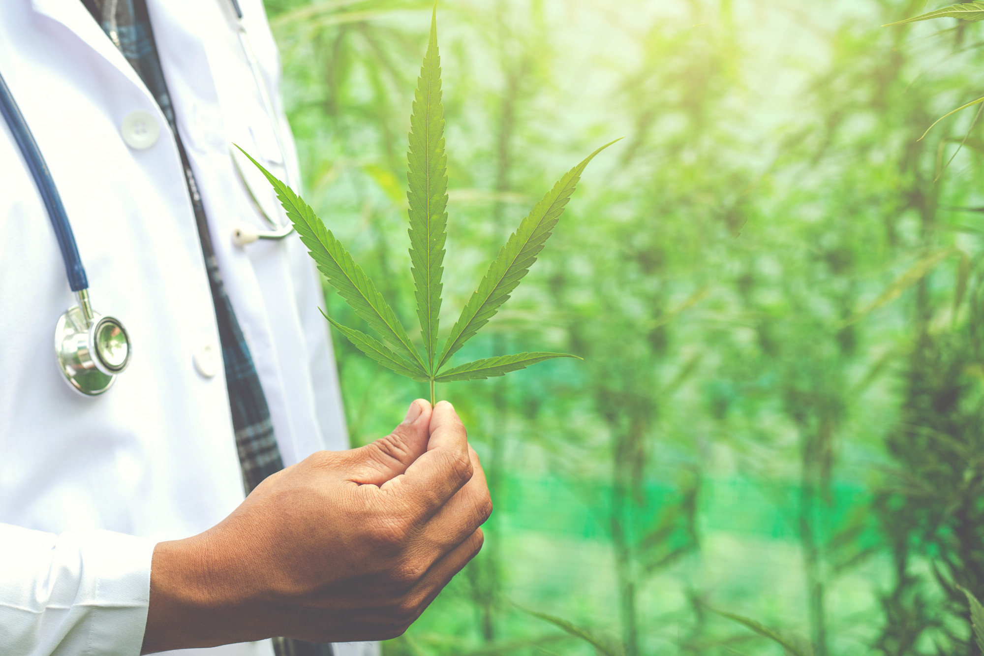 Cannabis slang, annual doctor's visit for medical cannabis