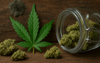 Can Marijuana Go Bad?
