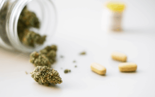 cannabis