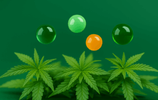 Cannabinoids