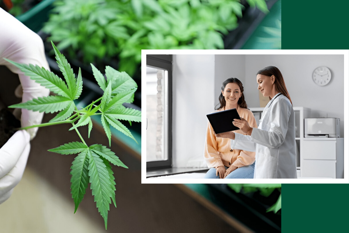 How Long Does It Take to Get Approved for a Medical Marijuana Card?