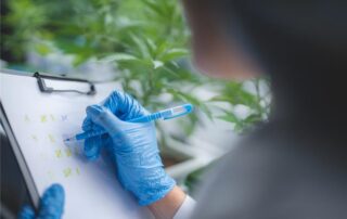 Top Qualifying Conditions for a Medical Marijuana Card