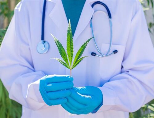 Looking for Free Weed Doctors in Mississippi?