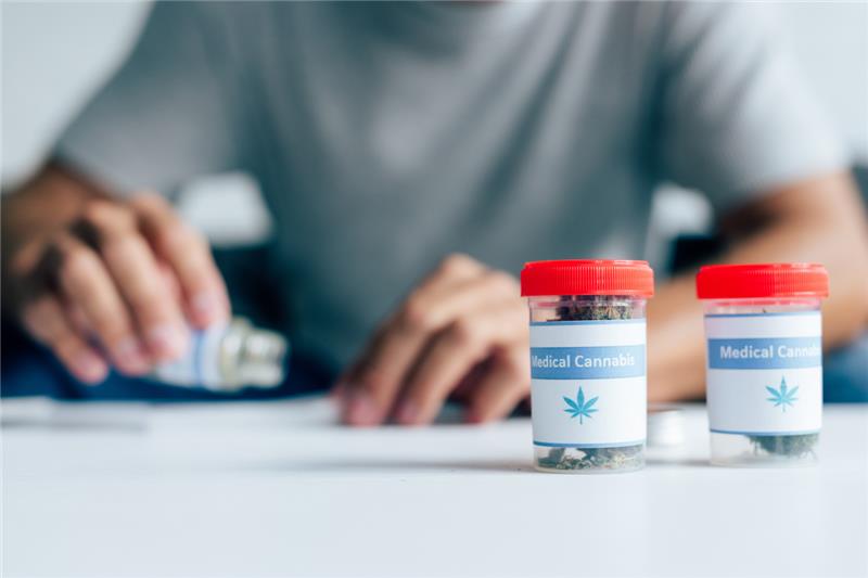 Medical Cannabis for Spinal Cord Disease