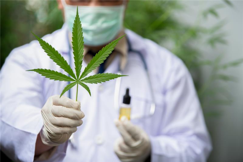 Best Medical Marijuana Doctors Near Me