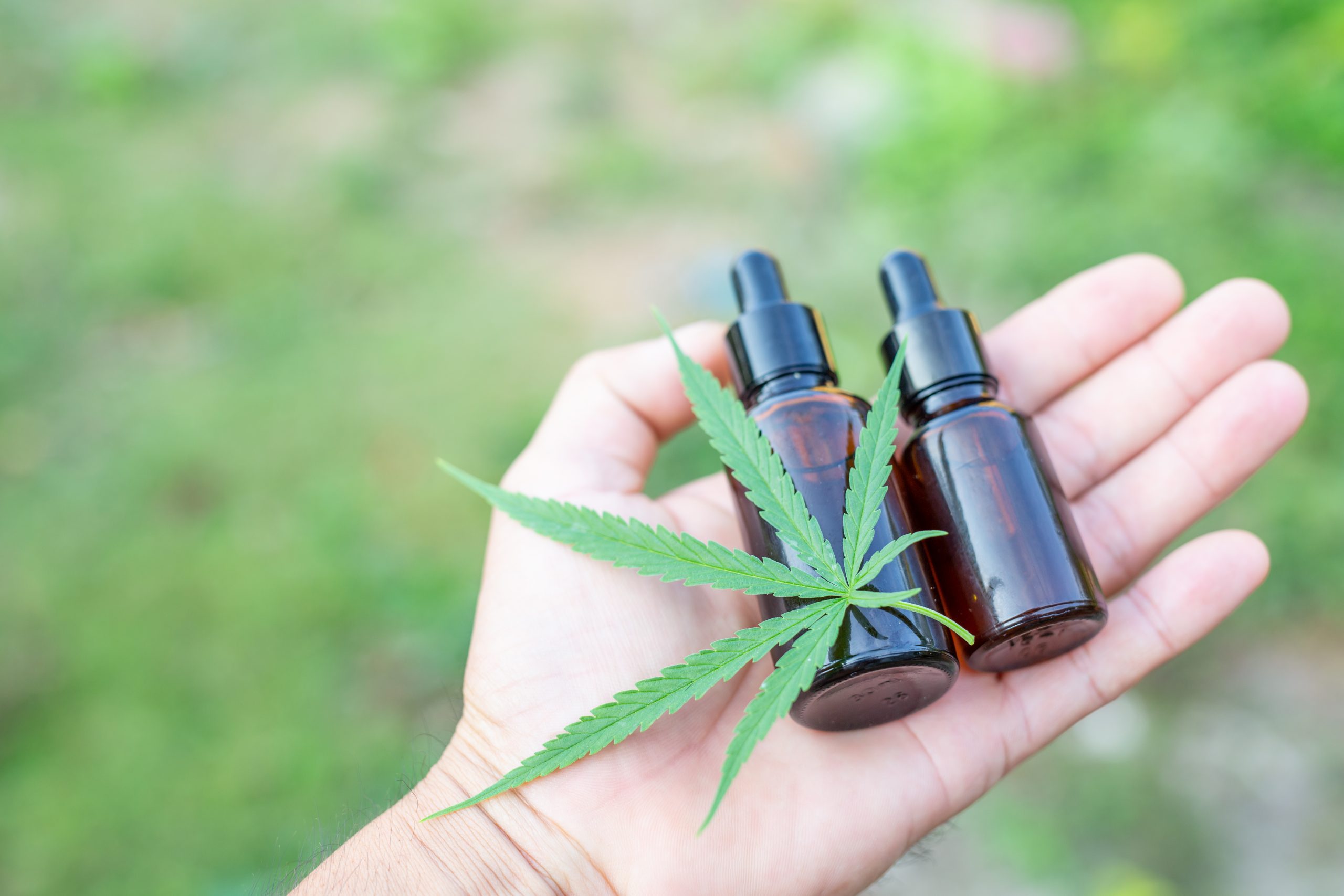 Medical Marijuana vs CBD for Anxiety