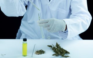 Medical Marijuana and Workplace Drug Testing