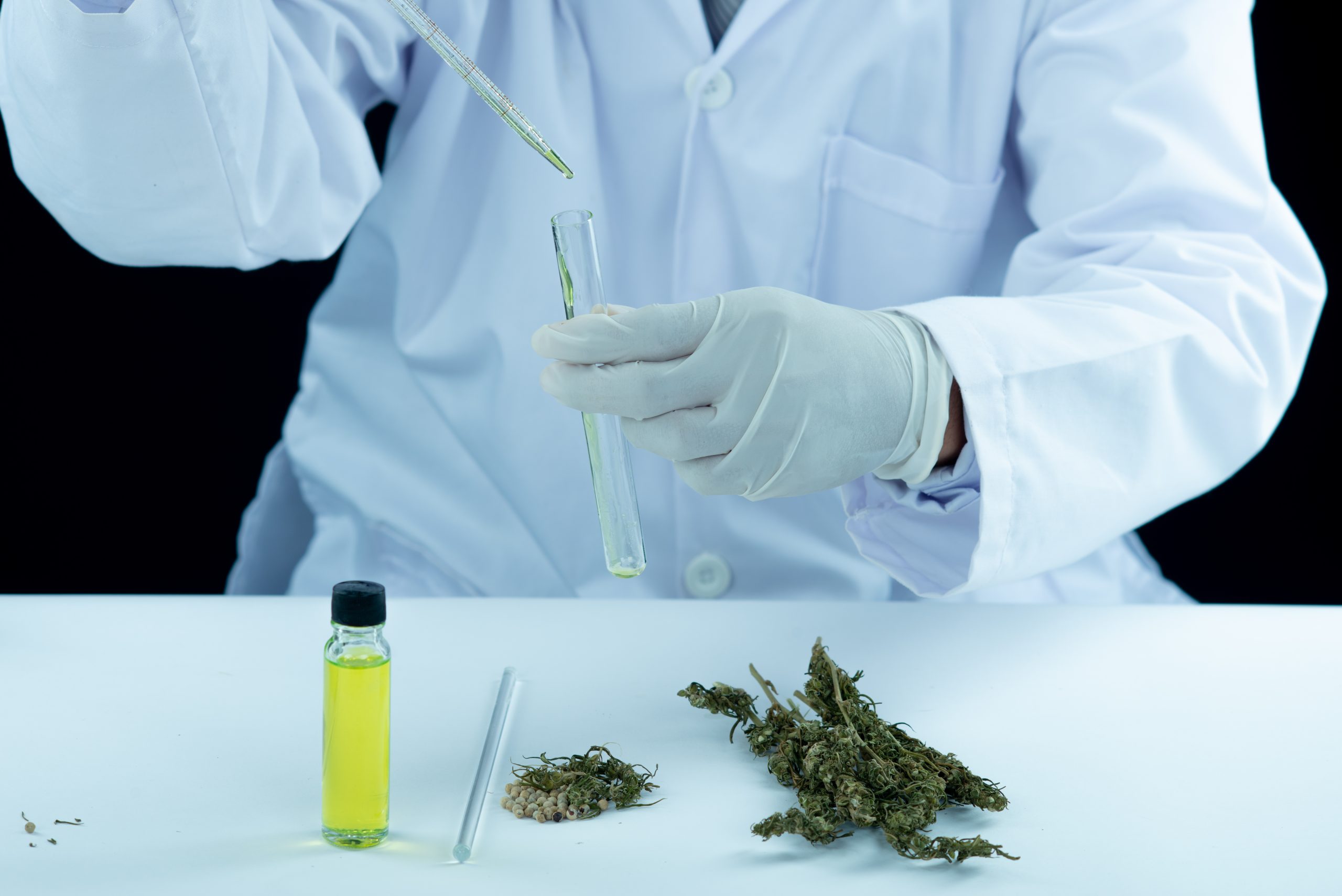 Medical Marijuana and Workplace Drug Testing