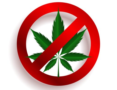 THCA Ban 2026: Why a Real Medical Marijuana Card Is Now Your Safest Legal Option