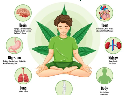 Medical Marijuana and Heart Health: What New 2026 Research Means for Patients