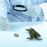 medical marijuana vs recreational cannabis