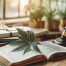 THC and memory