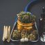 high-potency cannabis and psychosis