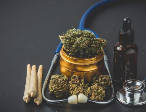High-Potency Cannabis and Psychosis Risk: What Every Medical Patient Should Know Before Choosing Strains