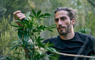 cannabis for anxiety and PTSD