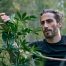 cannabis for anxiety and PTSD