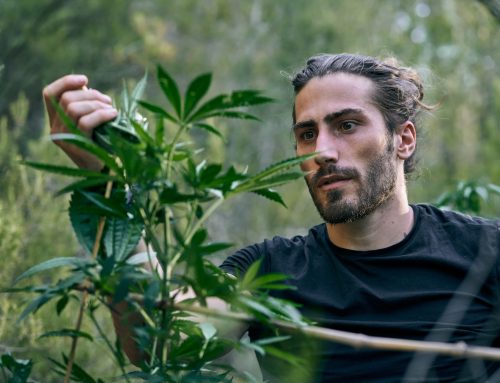 New 2026 Review Says Cannabis Doesn’t Help Anxiety or PTSD:
