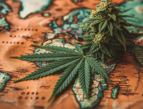 Can You Travel With a Medical Marijuana Card? State-to-State Rules Explained