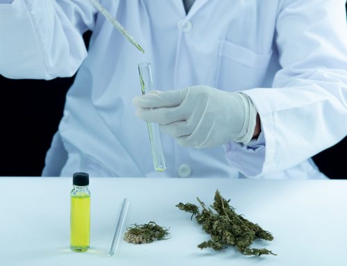 Medical Marijuana and Employment: Can You Be Fired for Failing a Drug Test?