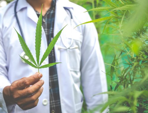 Can You Own a Gun with a Medical Marijuana Card? Federal & State Rules Explained