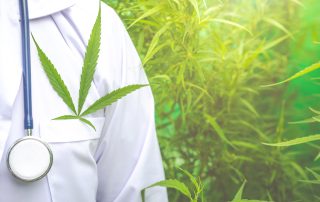 medical marijuana card renewal