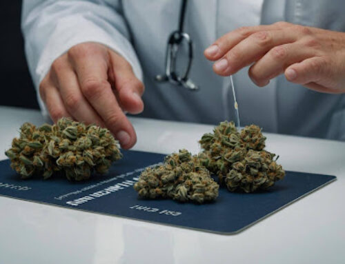 Why EZMedcard is the Trusted Choice for Medical Marijuana Cards in Meridian