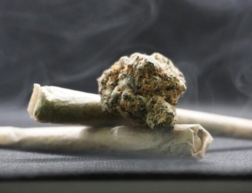 Joints vs Blunts: Key Differences Explained