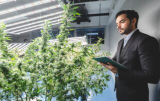 Medical Cannabis Helps Parkinson's Disease