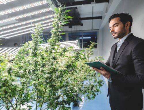 How Cannabis is Helping Patients With Parkinson’s Disease: The New