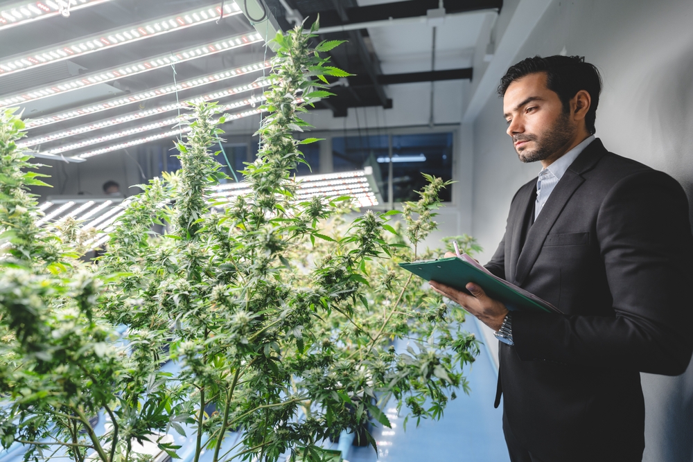 Medical Cannabis Helps Parkinson's Disease