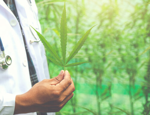 Do You Need a Doctor Visit Every Year for Medical Cannabis?