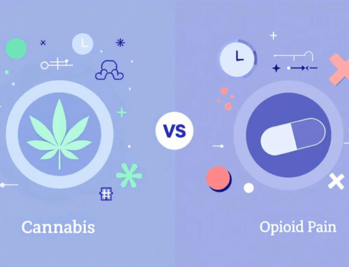 Comparing Cannabis and Chronic Pain Management: Insights from Recent Research