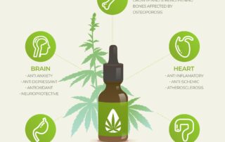 Benefits of Mississippi MMJ card