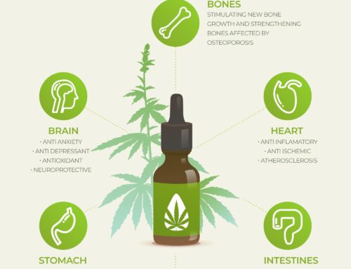 Benefits You’re Missing Without a Mississippi MMJ Card