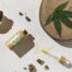 cannabis-rescheduling
