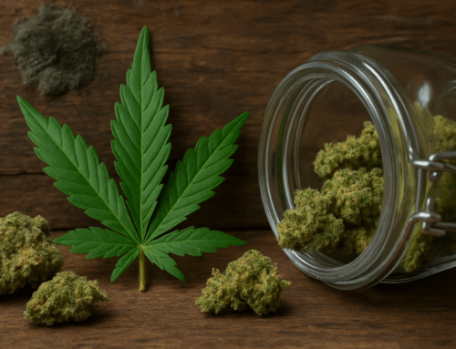 Can Marijuana Go Bad? How to Keep Your Cannabis Fresh