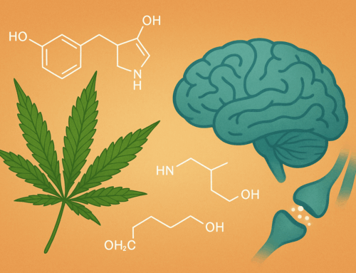 Cannabis, Neurotransmitters, and Healing: How Plant Compounds Work with the Brain to Improve Health