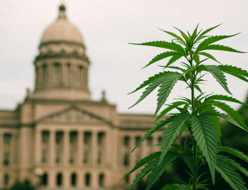 Employment and Travel: Legal Complexities of Being a Medical Cannabis Patient