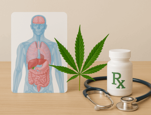 Medical Cannabis Explained: How It Works in the Body and Who Can Prescribe It