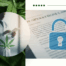 Can Doctors See If You Have a Medical Marijuana Card Privacy Laws Explained 1
