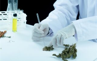 Does Medical Marijuana Show on a Drug Test in 2026