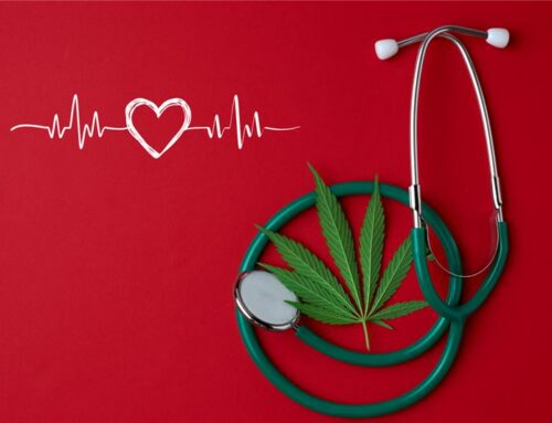 Does Marijuana Increase Heart Rate? What Science Says